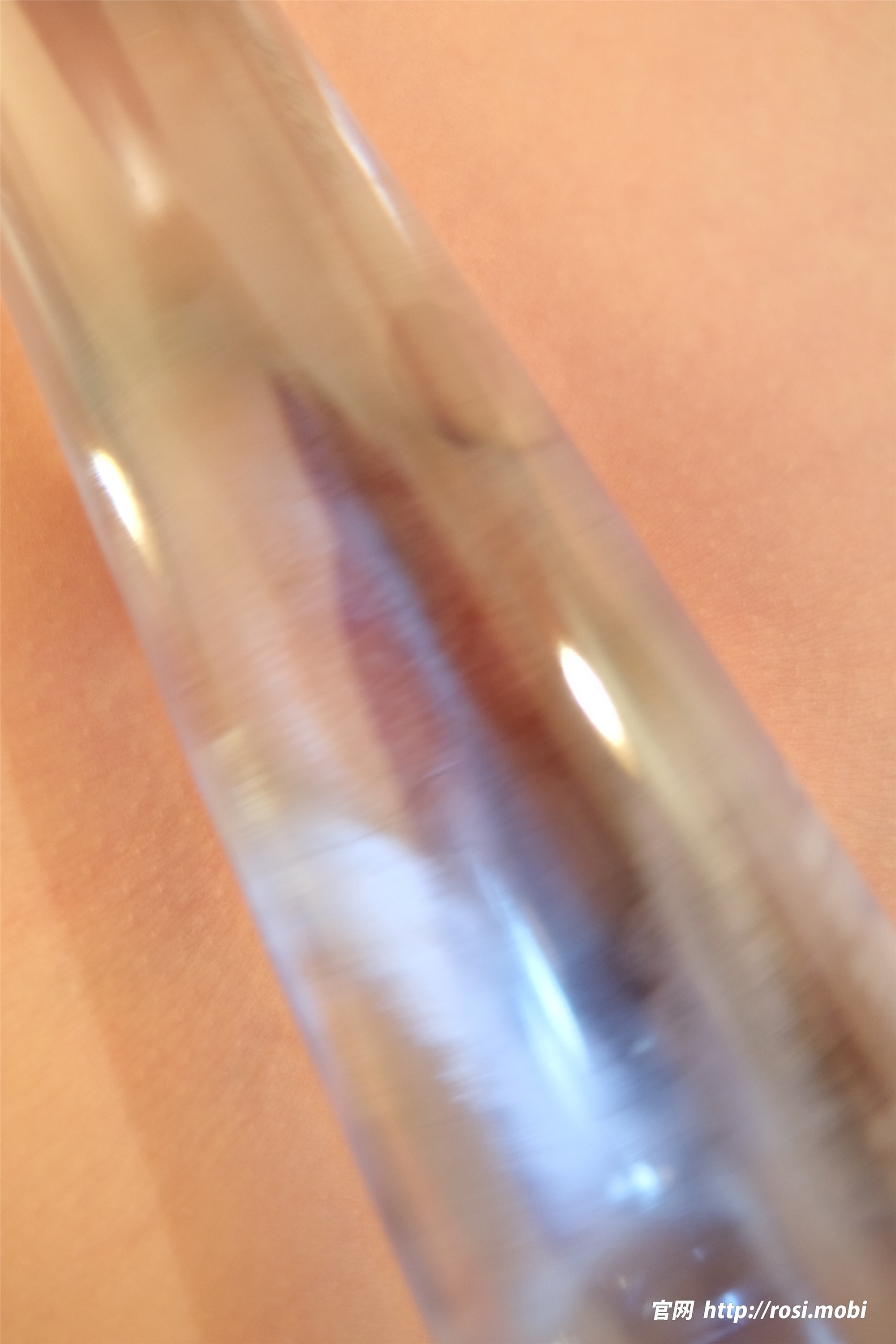 ROSI写真 2025.01.21 NO.4796